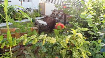 Rafjam Bed And Breakfast Kingston Buitenkant foto